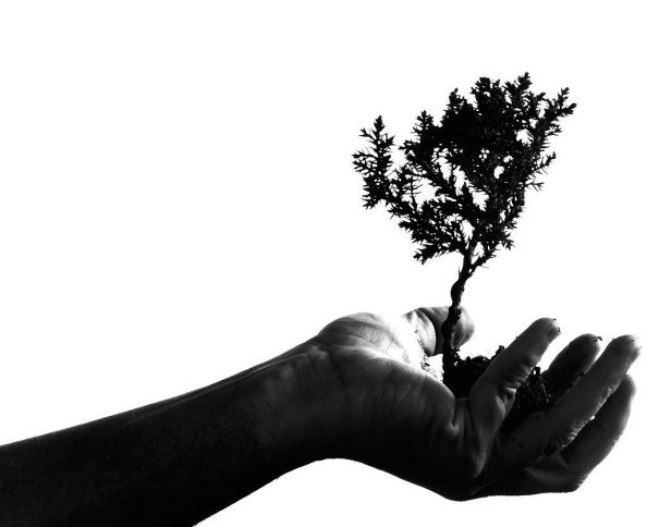 “Tambahkanlah Iman Kami!”